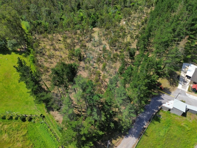 Terreno para Venda em Macinhata do Vouga Foto 5