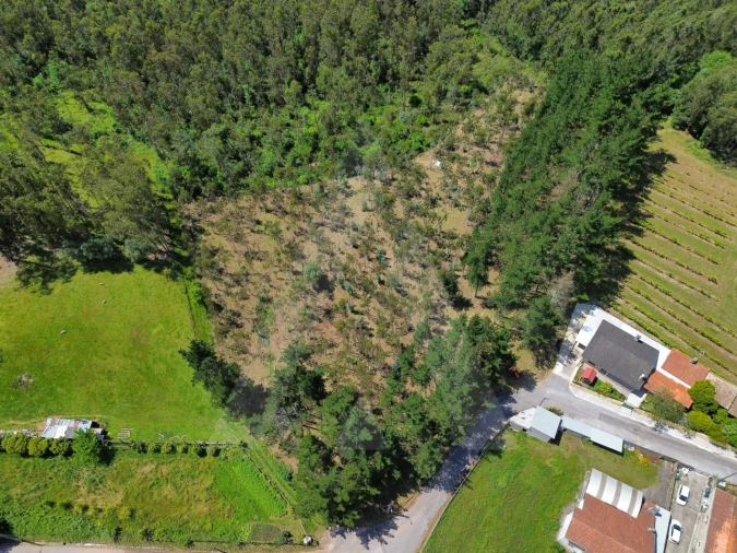 Terreno para Venda em Macinhata do Vouga Foto 11
