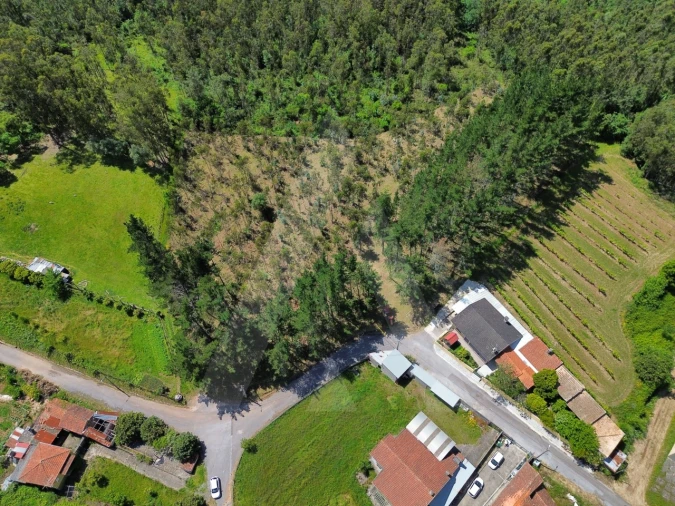 Terreno para Venda em Macinhata do Vouga Foto 6