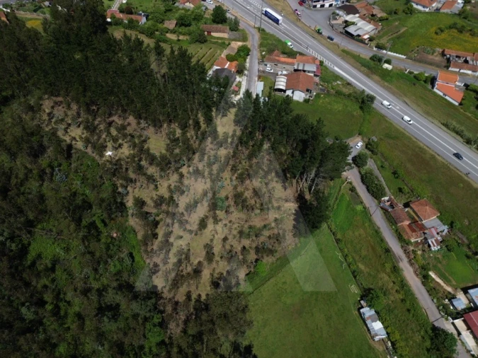 Terreno para Venda em Macinhata do Vouga Foto 7
