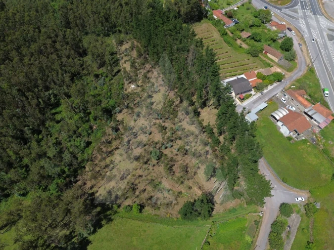 Terreno para Venda em Macinhata do Vouga Foto 4