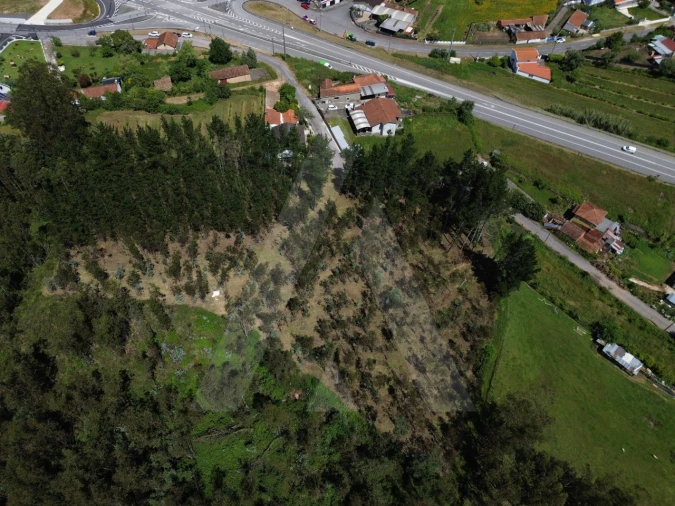 Terreno para Venda em Macinhata do Vouga