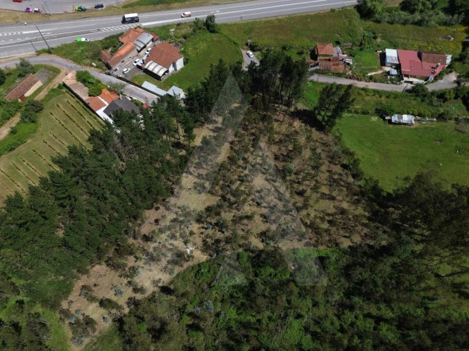 Terreno para Venda em Macinhata do Vouga Foto 8