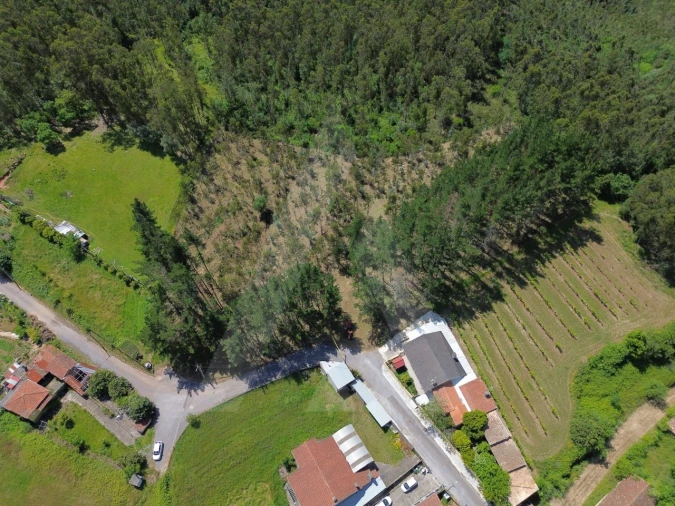 Terreno para Venda em Macinhata do Vouga Foto 15