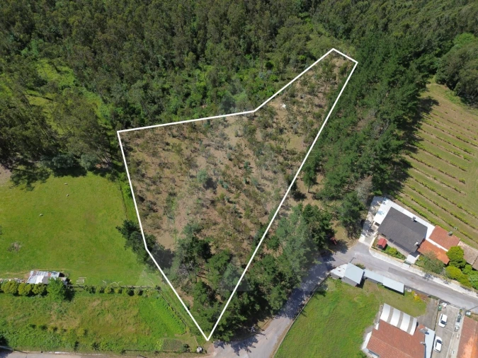 Terreno para Venda em Macinhata do Vouga Foto 2