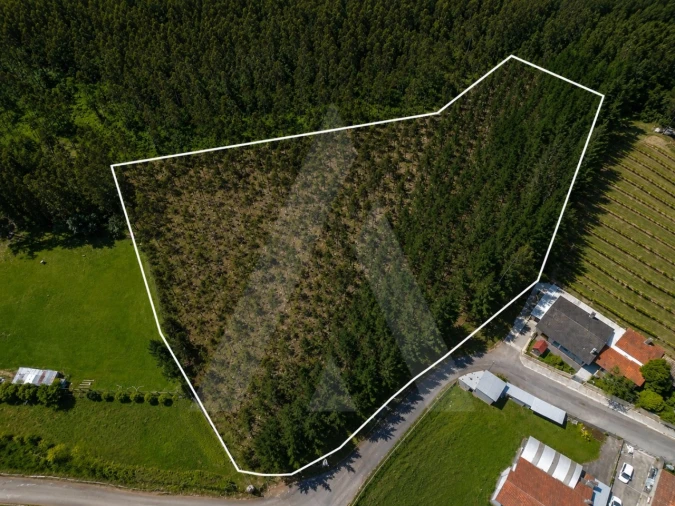 Terreno para Venda em Macinhata do Vouga Foto 2