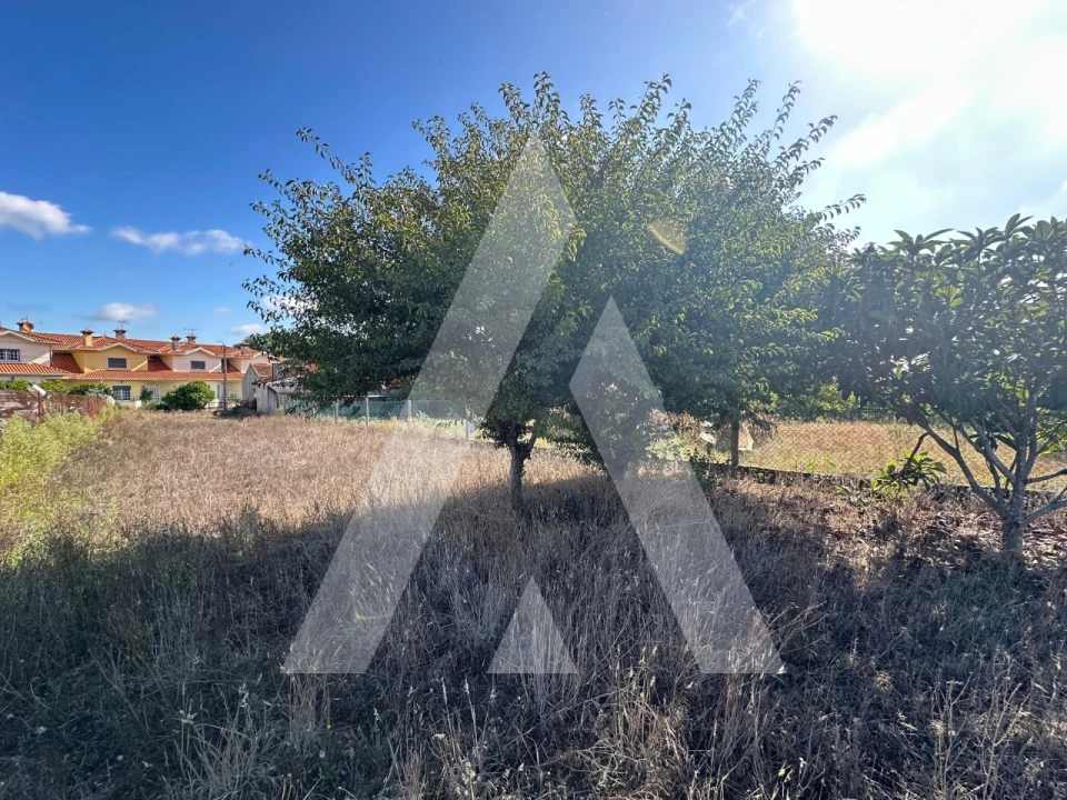 Terreno para Venda em Oiã Foto 1