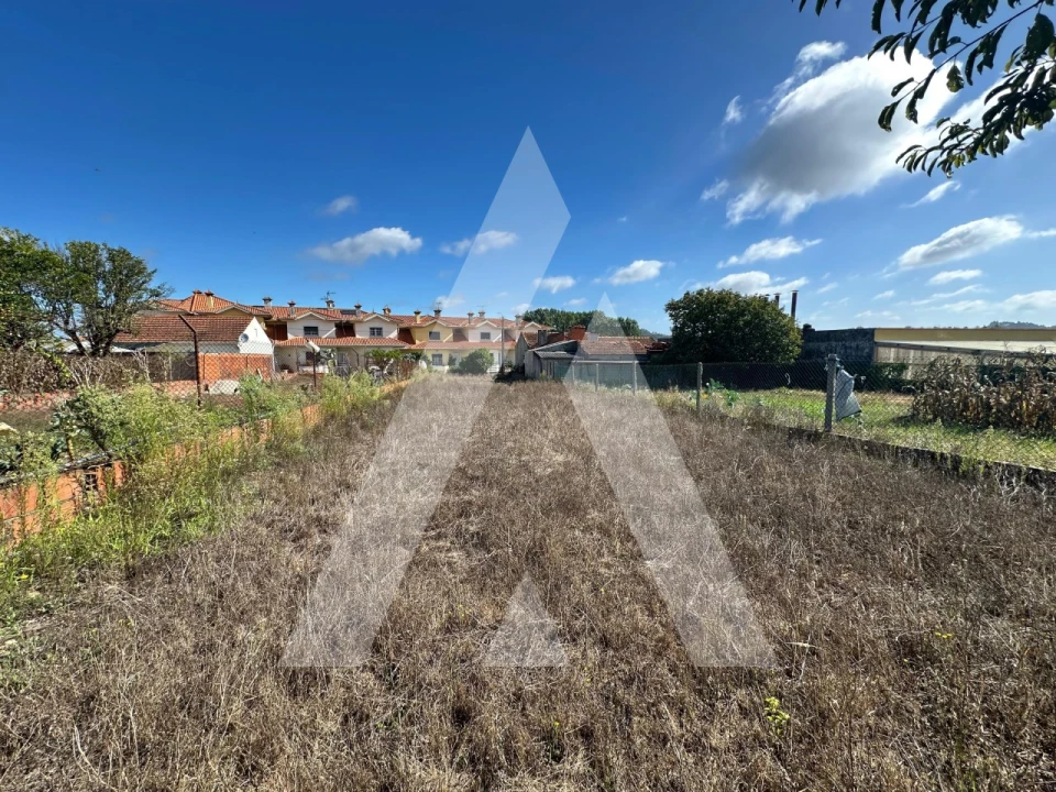 Terreno para Venda em Oiã Foto 2