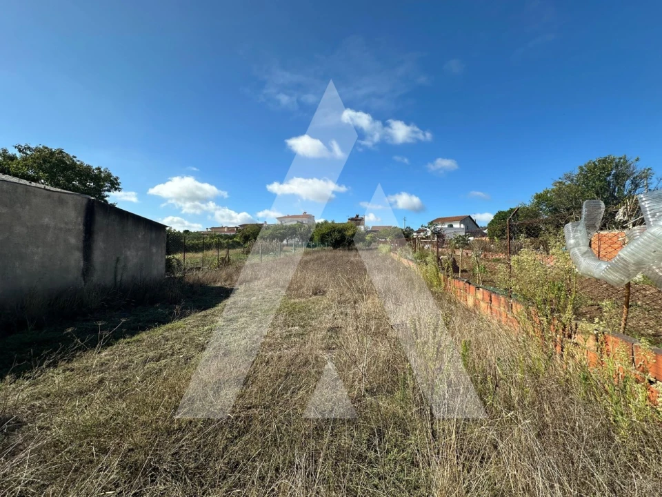 Terreno para Venda em Oiã Foto 4