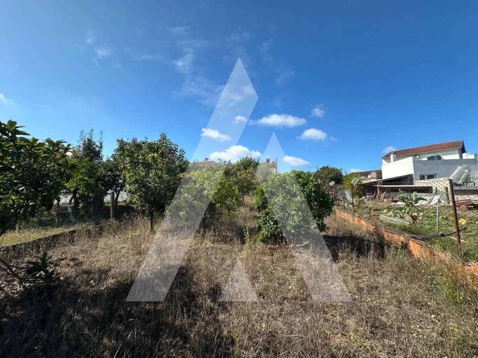 Terreno para Venda em Oiã Foto 6