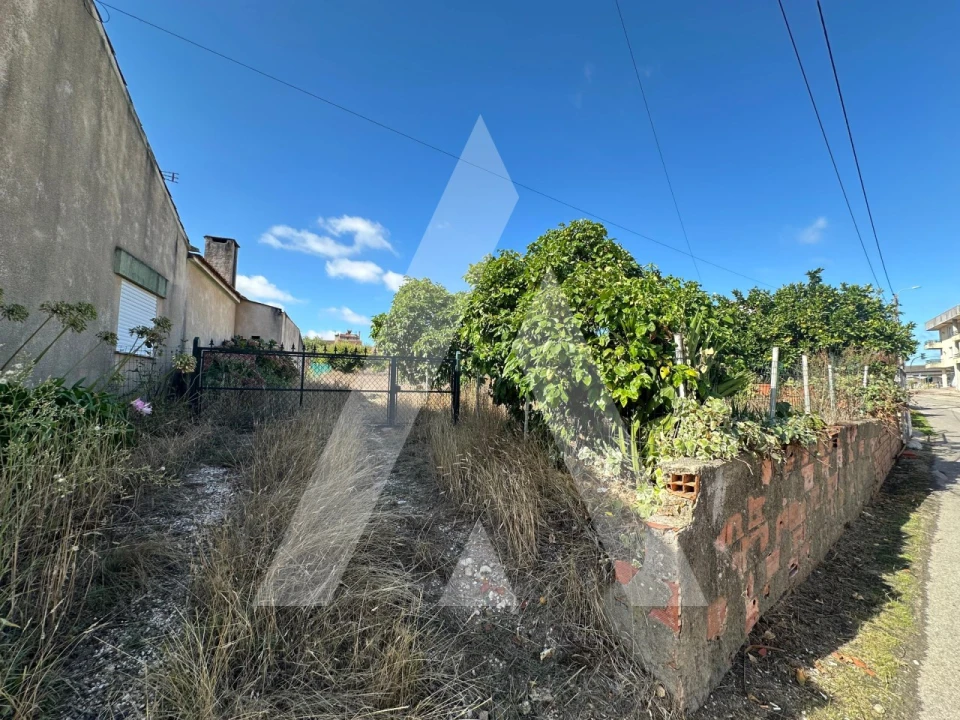 Terreno para Venda em Oiã Foto 8