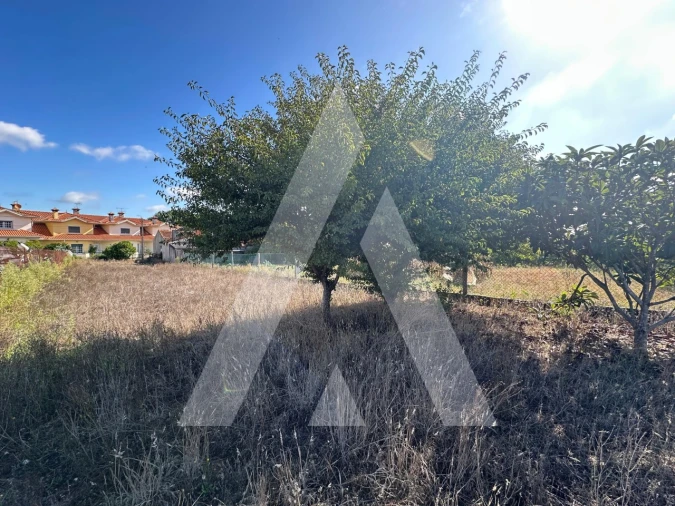 Terreno para Venda em Oiã Foto 1