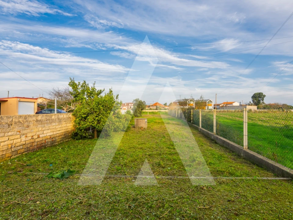 Terreno para Venda em Murtosa Foto 1