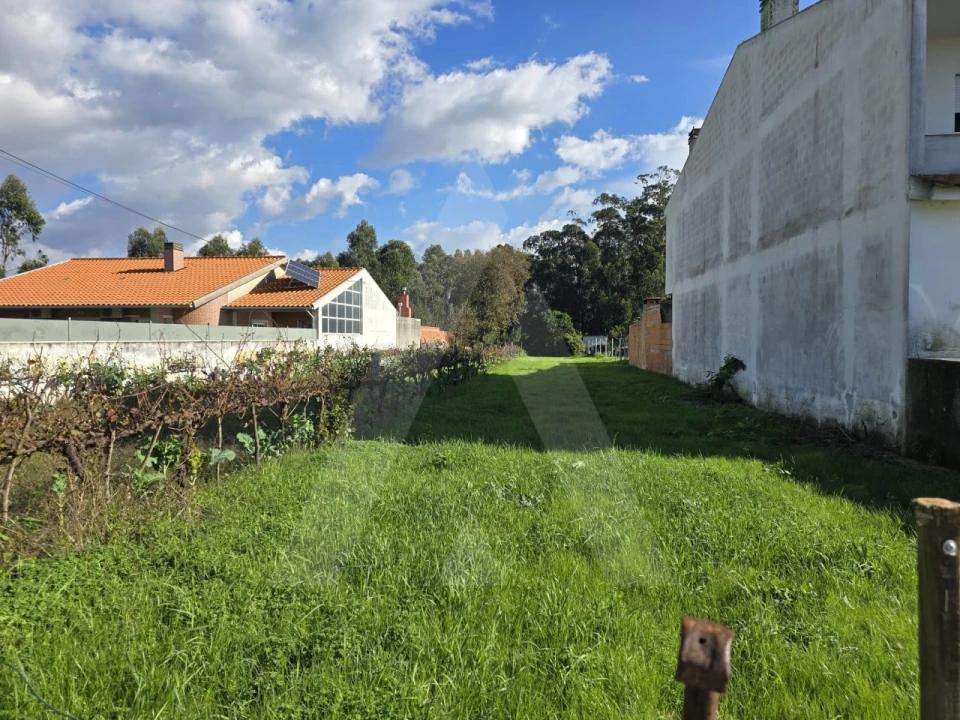 Terreno para Venda em Cacia Foto 2