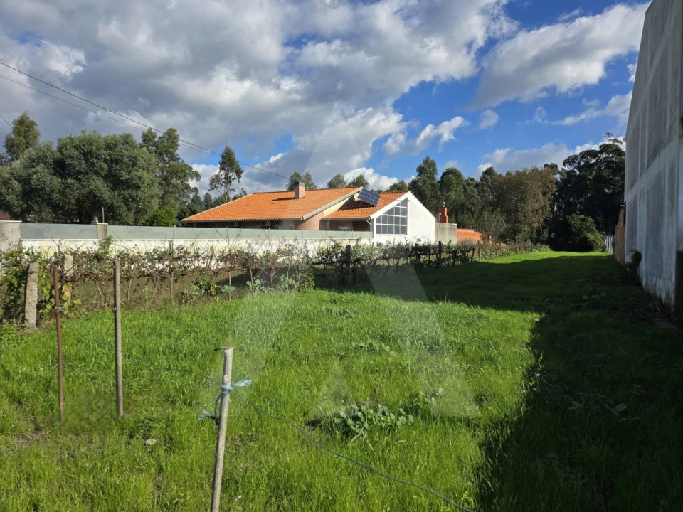 Terreno para Venda em Cacia Foto 6