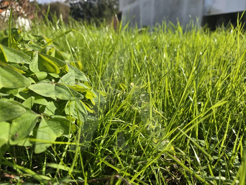 Terreno para Venda em Cacia Foto 9