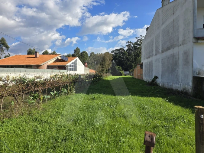 Terreno para Venda em Cacia Foto 2