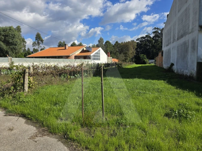Terreno para Venda em Cacia Foto 3
