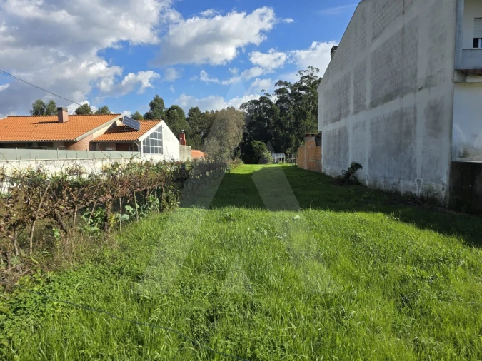 Terreno para Venda em Cacia Foto 4