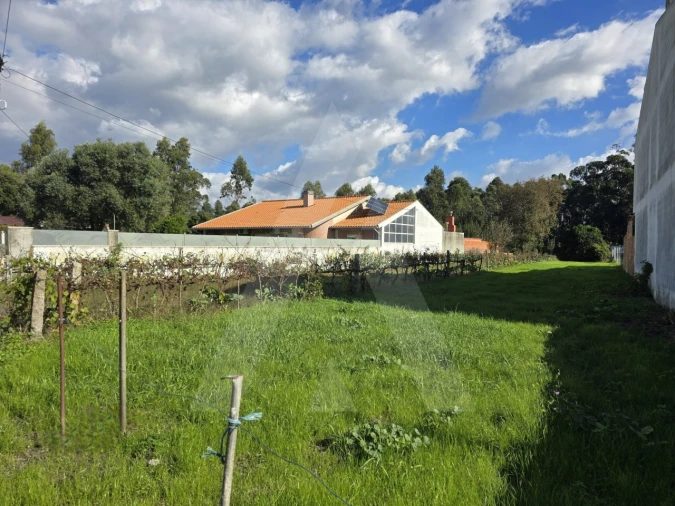 Terreno para Venda em Cacia Foto 5