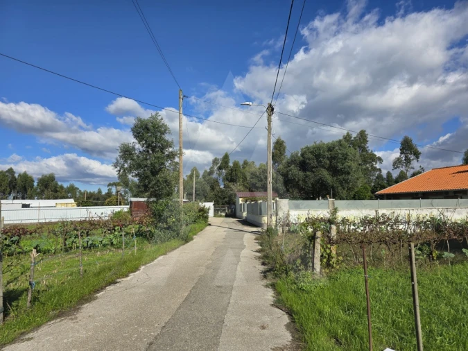 Terreno para Venda em Cacia Foto 7