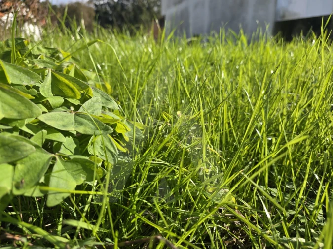 Terreno para Venda em Cacia Foto 9