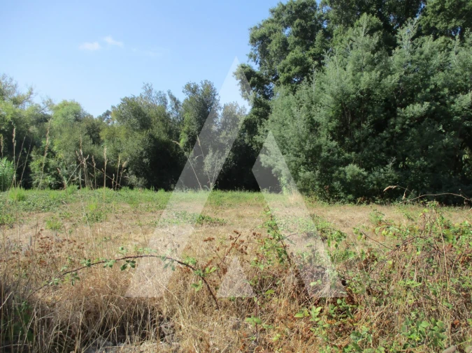 Terreno para Venda em Oiã Foto 1