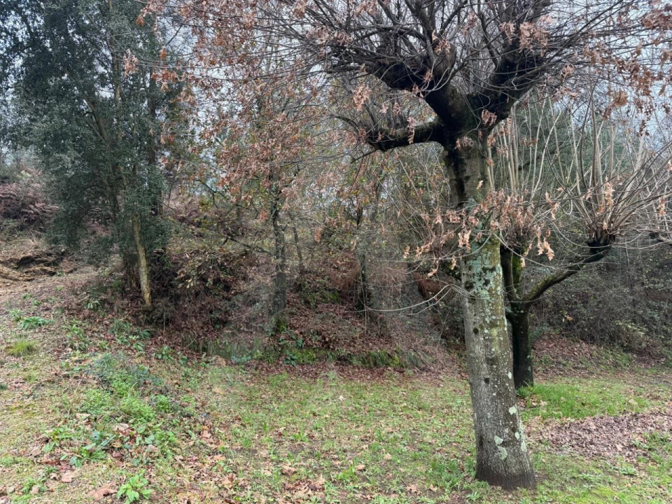 Terreno para Venda em O. Azeméis, Riba-Ul, Ul, Macinhata Seixa, Madail Foto 7