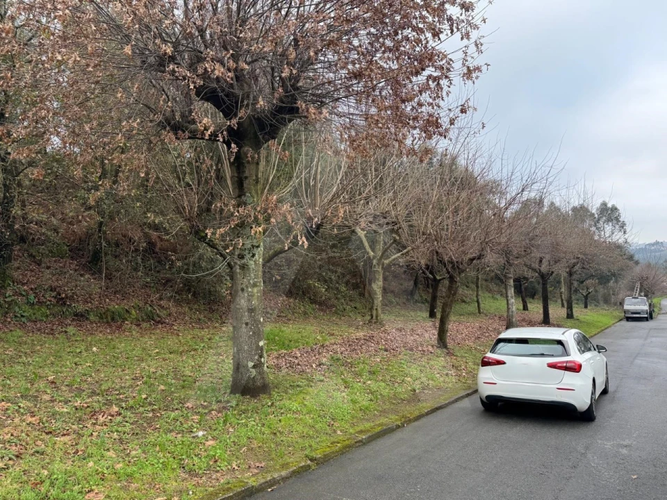 Terreno para Venda em O. Azeméis, Riba-Ul, Ul, Macinhata Seixa, Madail Foto 9
