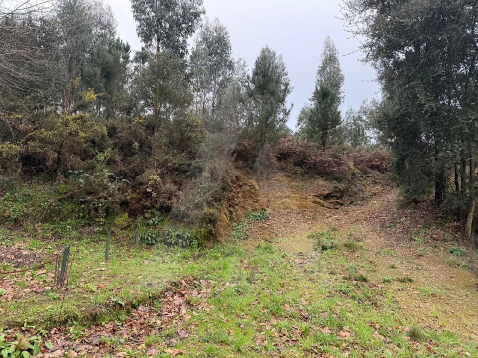 Terreno para Venda em O. Azeméis, Riba-Ul, Ul, Macinhata Seixa, Madail Foto 11