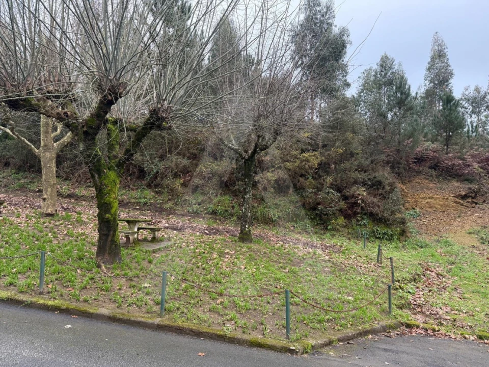 Terreno para Venda em O. Azeméis, Riba-Ul, Ul, Macinhata Seixa, Madail Foto 12