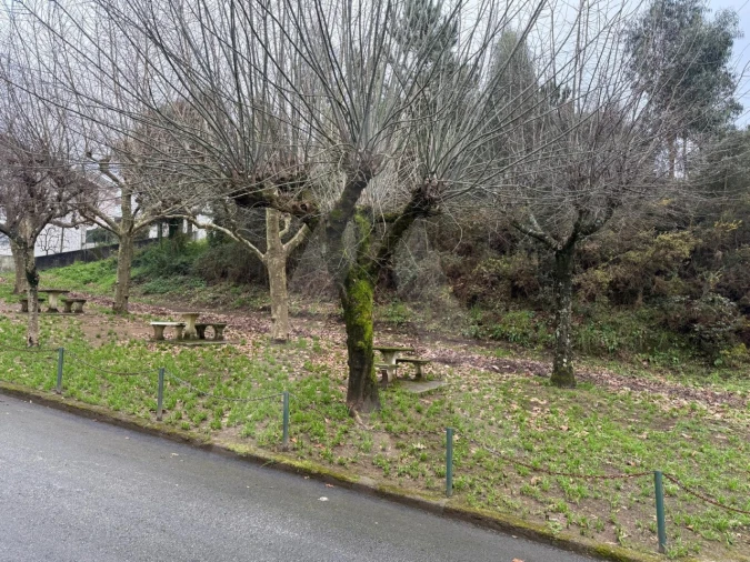 Terreno para Venda em O. Azeméis, Riba-Ul, Ul, Macinhata Seixa, Madail Foto 2