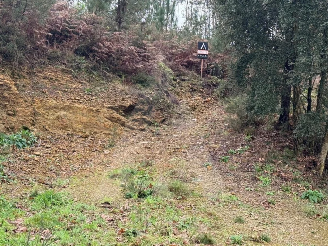 Terreno para Venda em O. Azeméis, Riba-Ul, Ul, Macinhata Seixa, Madail Foto 3