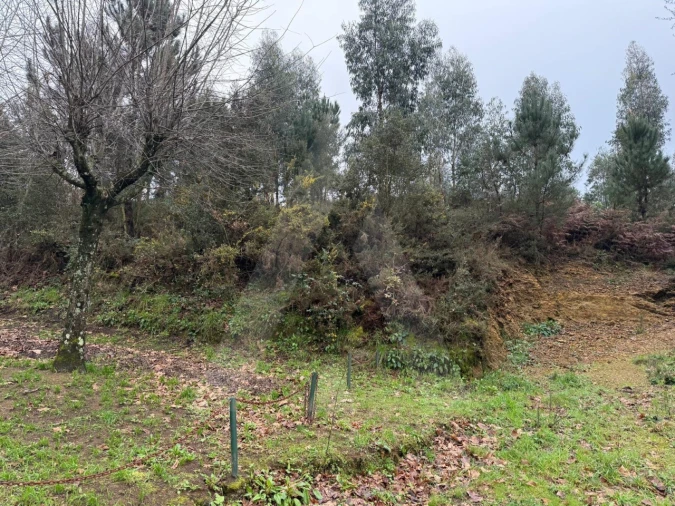 Terreno para Venda em O. Azeméis, Riba-Ul, Ul, Macinhata Seixa, Madail Foto 1