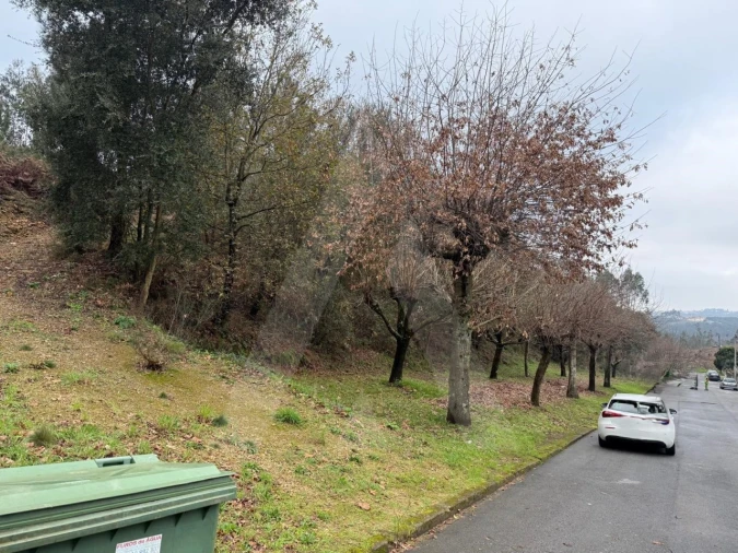 Terreno para Venda em O. Azeméis, Riba-Ul, Ul, Macinhata Seixa, Madail Foto 6