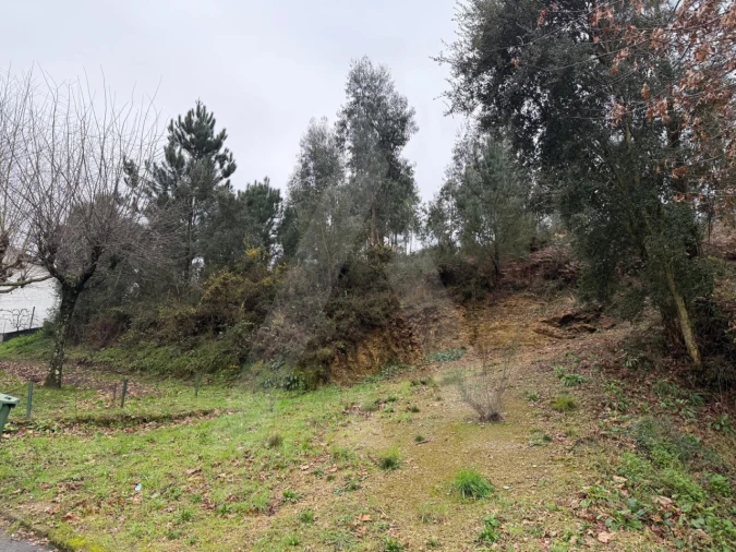 Terreno para Venda em O. Azeméis, Riba-Ul, Ul, Macinhata Seixa, Madail Foto 8