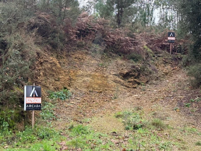 Terreno para Venda em O. Azeméis, Riba-Ul, Ul, Macinhata Seixa, Madail Foto 10
