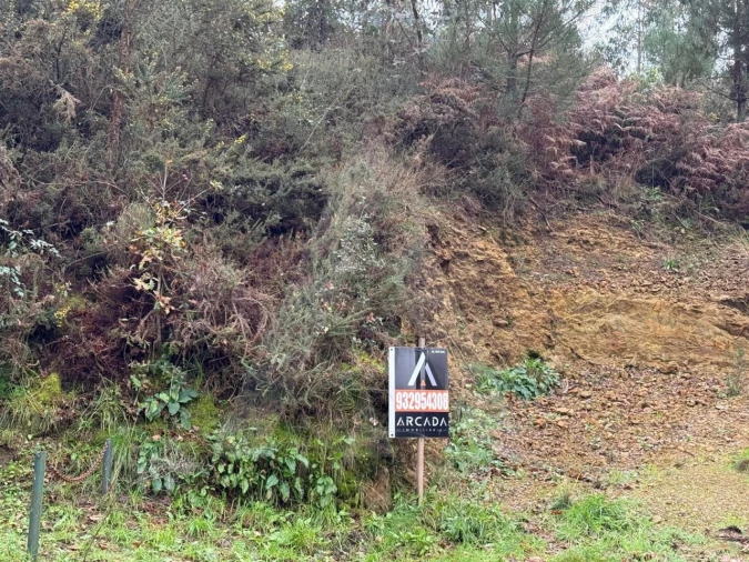 Terreno para Venda em O. Azeméis, Riba-Ul, Ul, Macinhata Seixa, Madail Foto 13