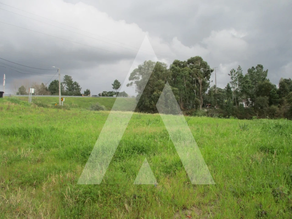 Terreno para Venda em Oliveira do Bairro Foto 1