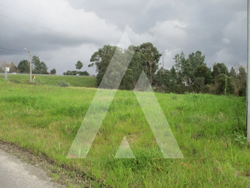 Terreno para Venda em Oliveira do Bairro Foto 2