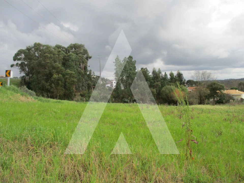 Terreno para Venda em Oliveira do Bairro Foto 3