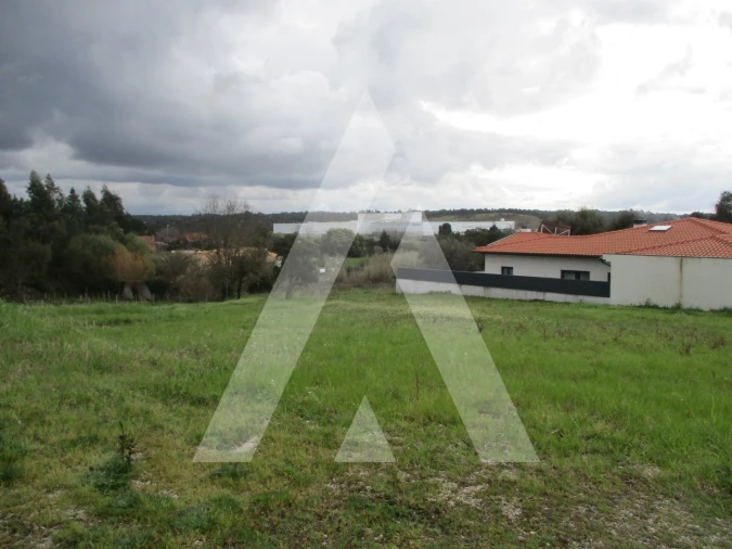 Terreno para Venda em Oliveira do Bairro Foto 4