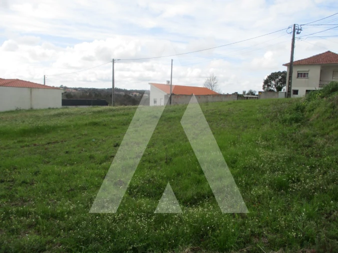 Terreno para Venda em Oliveira do Bairro Foto 5