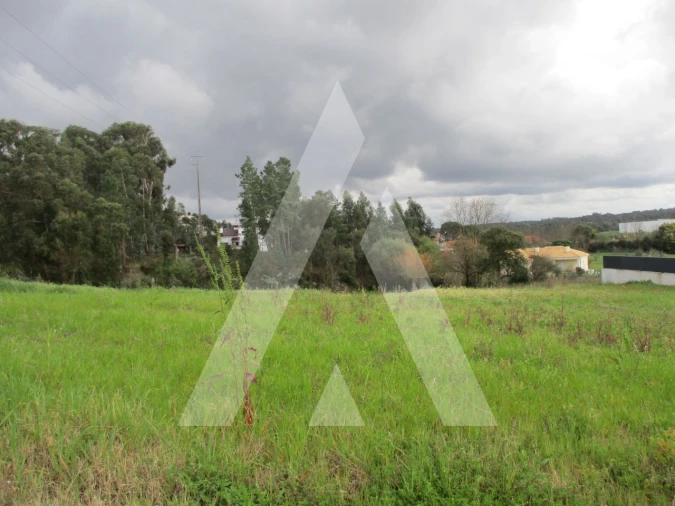 Terreno para Venda em Oliveira do Bairro Foto 7