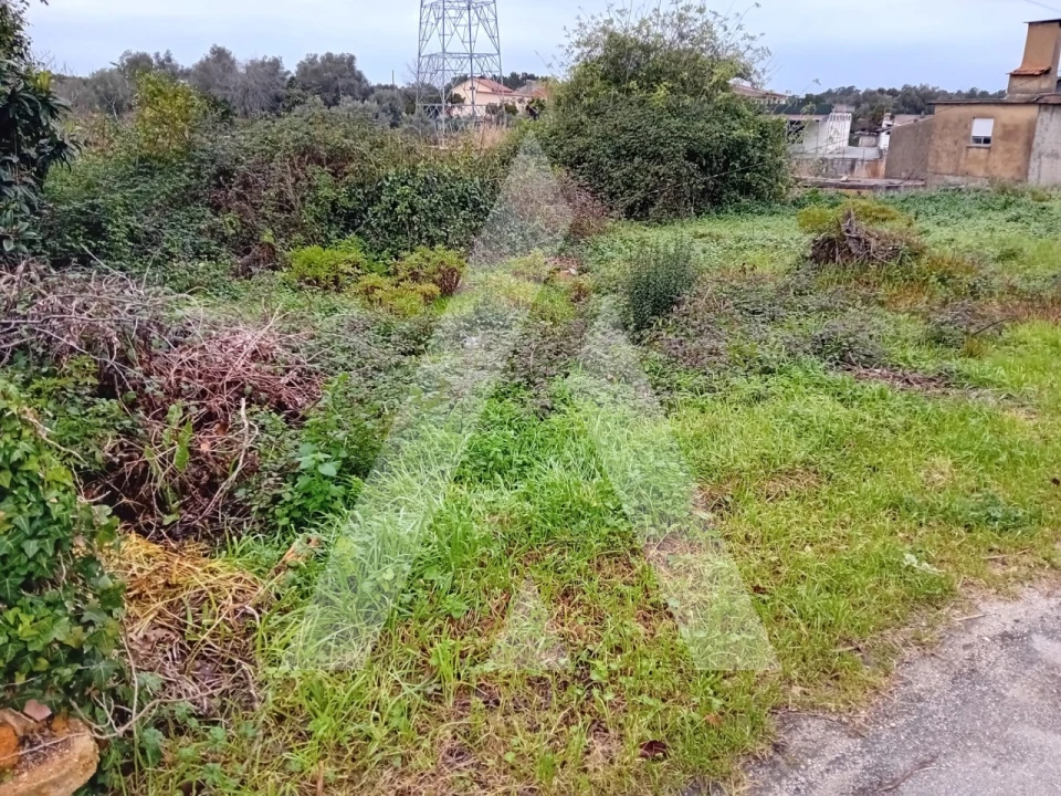 Terreno para Venda em Amoreira da Gândara, Paredes do Bairro e Ancas Foto 2