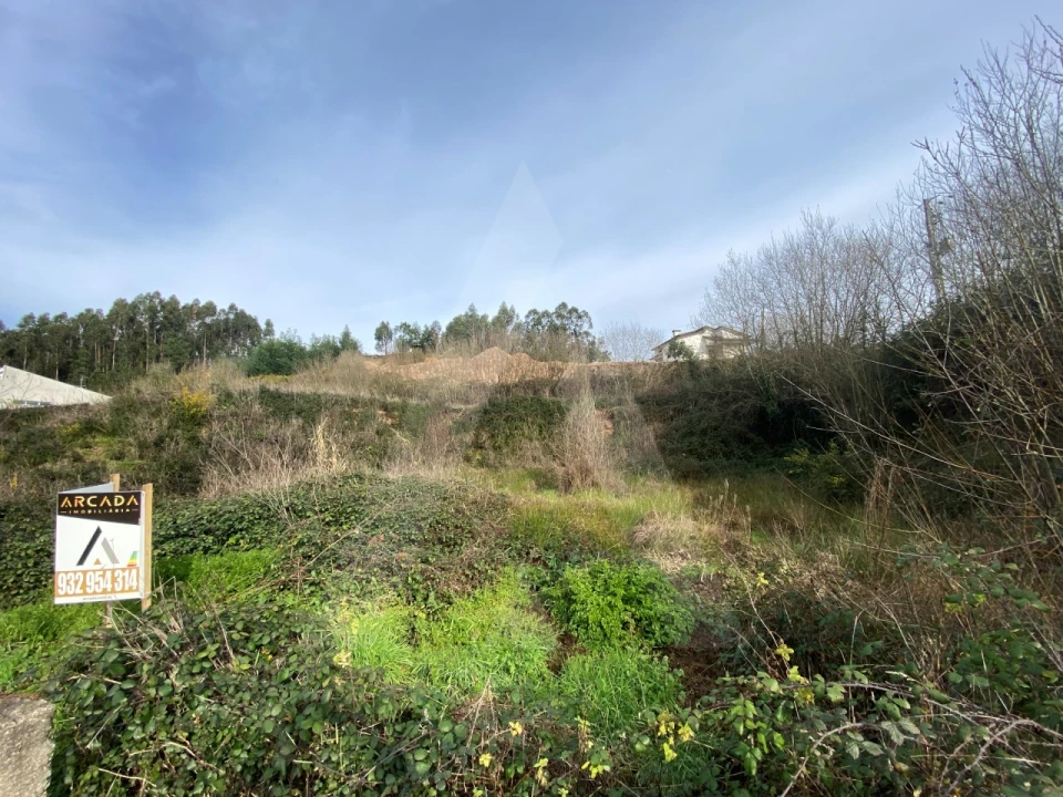 Terreno para Venda em Águeda e Borralha Foto 2