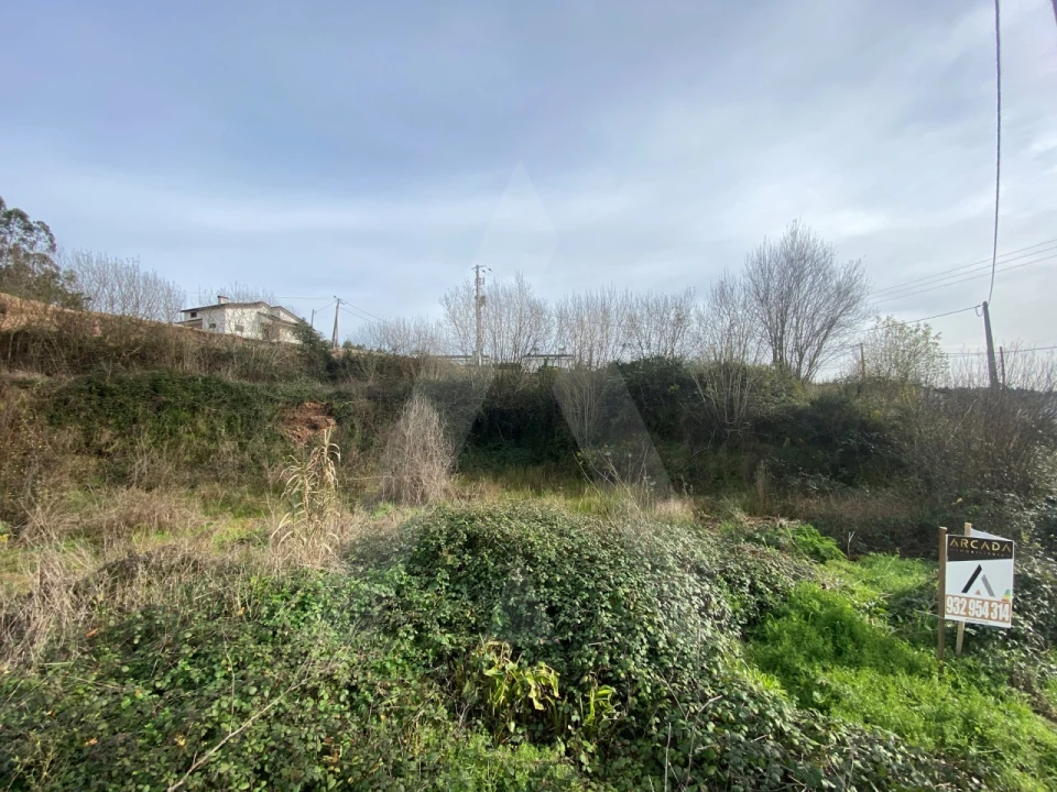 Terreno para Venda em Águeda e Borralha Foto 3