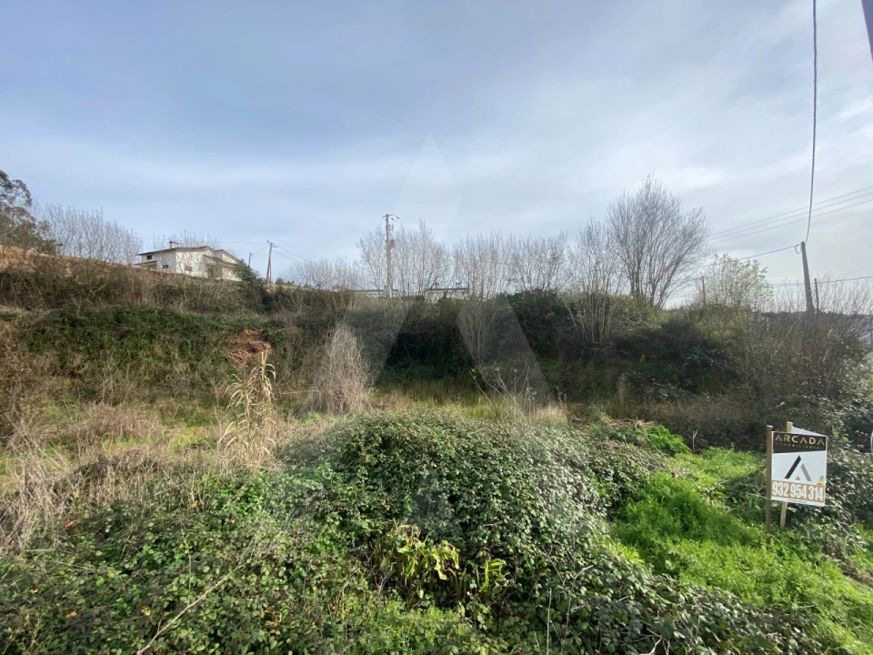Terreno para Venda em Águeda e Borralha Foto 4