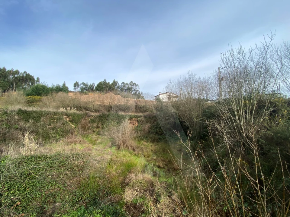 Terreno para Venda em Águeda e Borralha Foto 8
