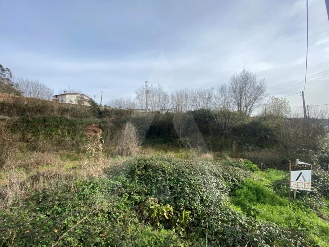 Terreno para Venda em Águeda e Borralha Foto 4